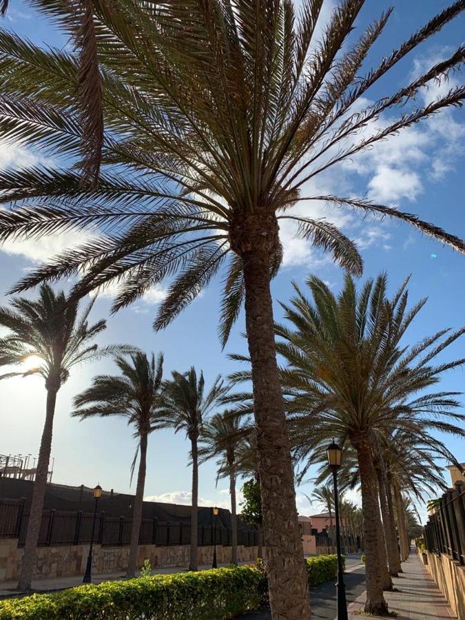 La Tunera Fuerteventura コラレホ エクステリア 写真
